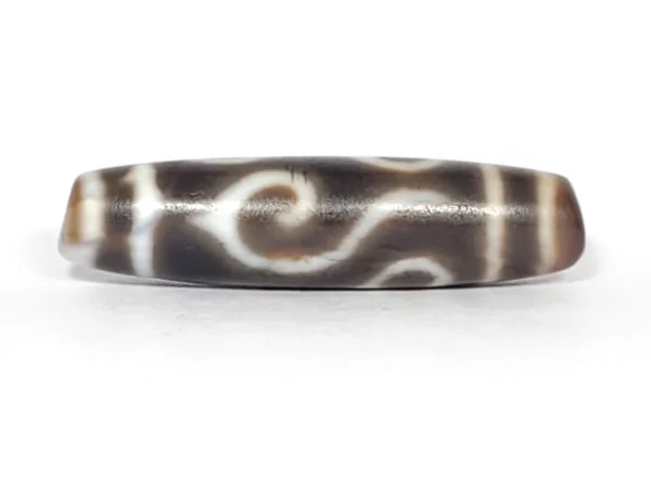 Ancient Dharma Conch Four Eye Motif Dzi Bead - Old Dzi - Image 2
