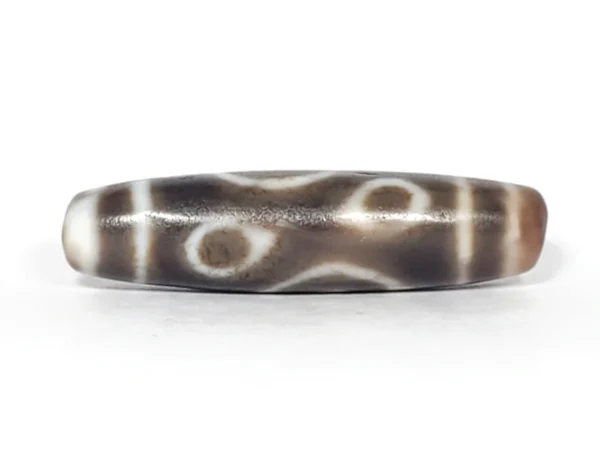 Ancient Dharma Conch Four Eye Motif Dzi Bead - Old Dzi - Image 4