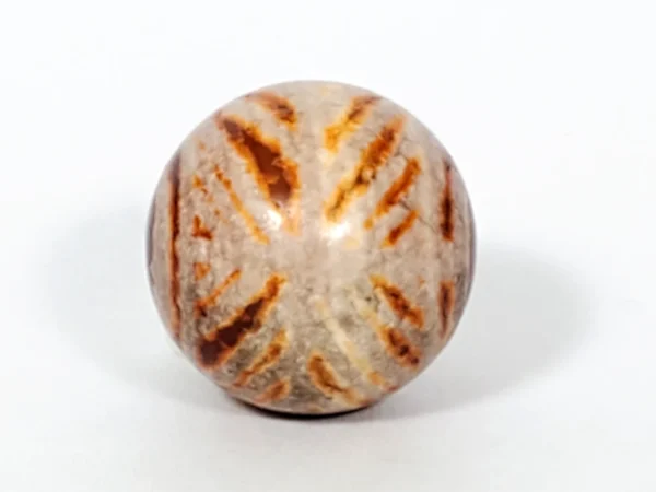 Ancient Round Double Diamond Eye-In-Eye Motif Carnelian Dzi Bead - Image 5